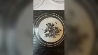 Apakah cairan pemotong memiliki sifat anti karat? Bagaimana cara mengujinya?